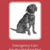 Wilderness Adventures Press Field Guide To Dog First Aid Books