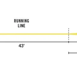 Accessories Rio Gold Fly Line